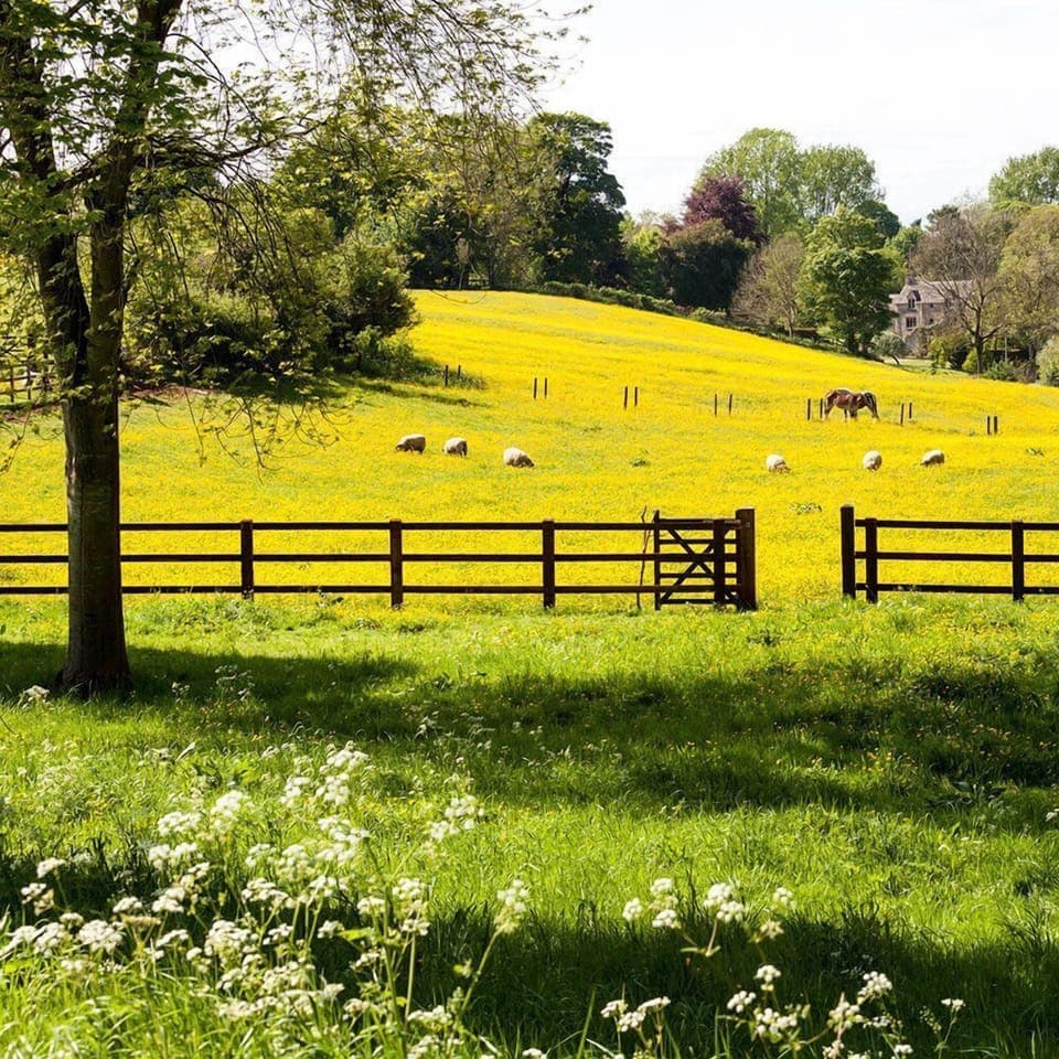 Live the tranquil country life while still only being 24 minutes from Downtown Nashville!