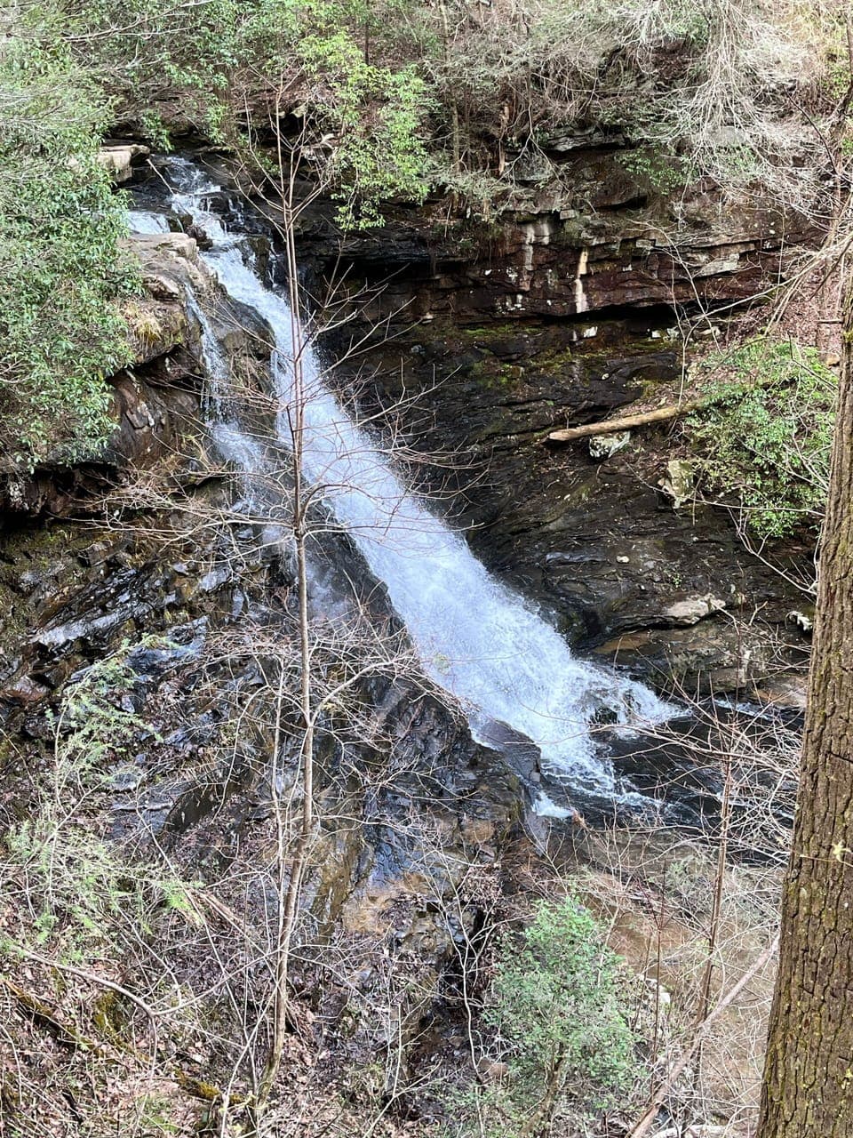 Broadtree falls