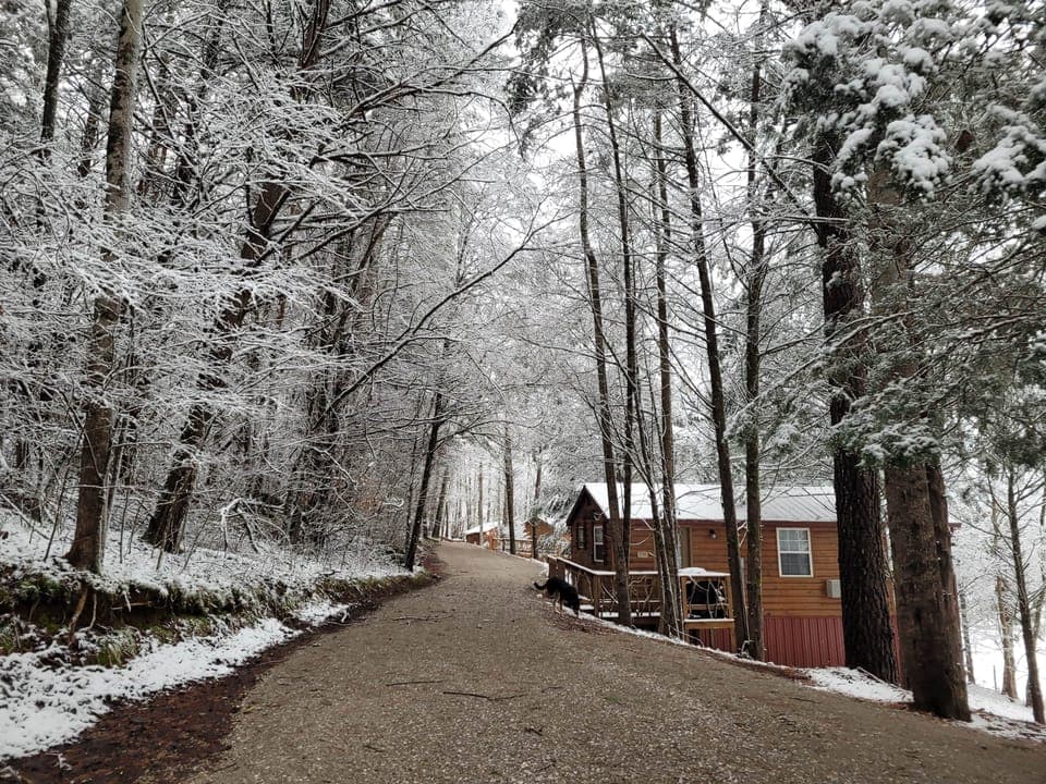 The Doghouse on Cabin Row