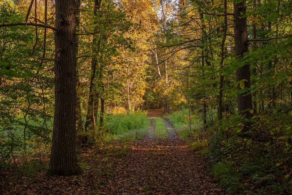 Quiet Walkways
