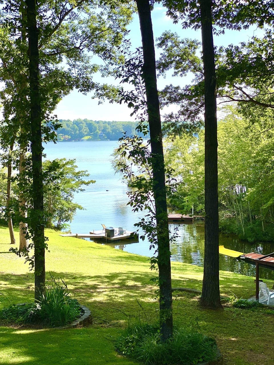 What a view!  See the Blue Herron visit every morning!