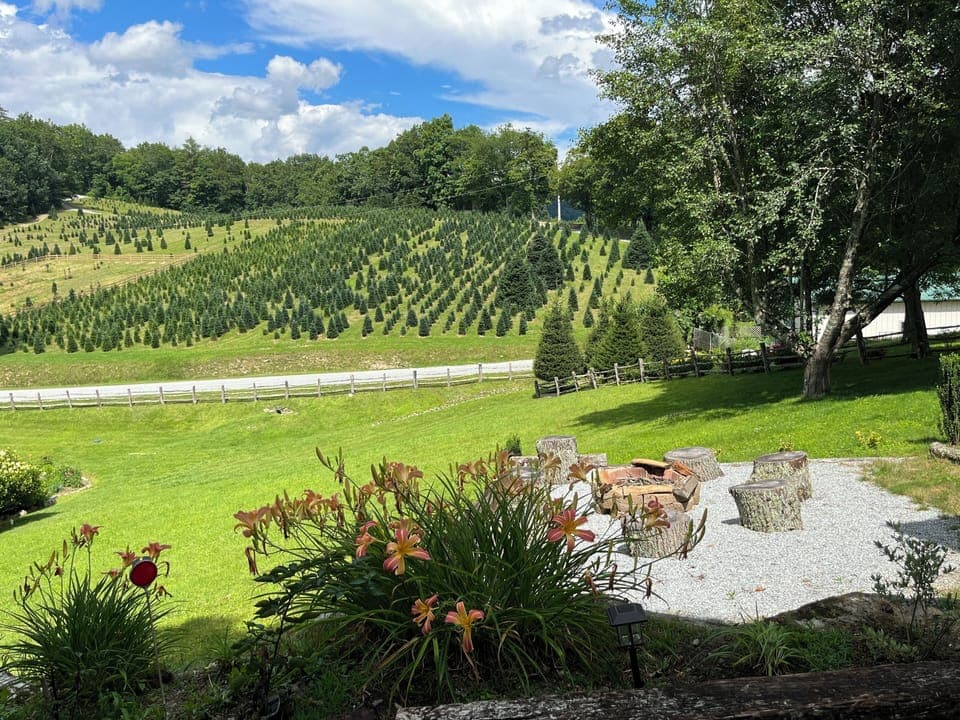 Back view and fire pit 