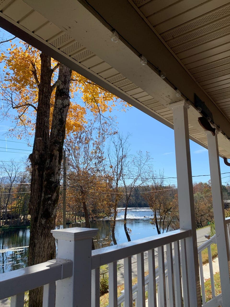 Fall views! 🍁