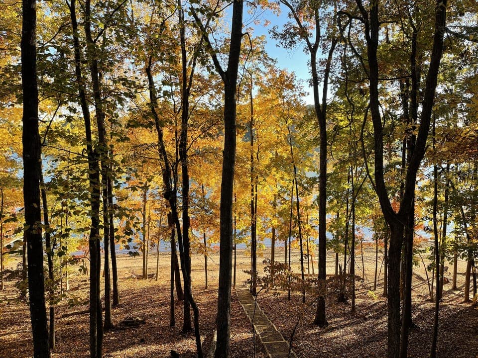 View from the back deck in the fall