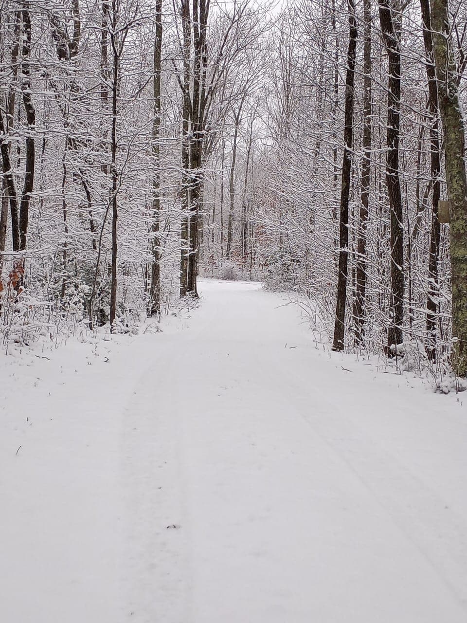 Drive way.