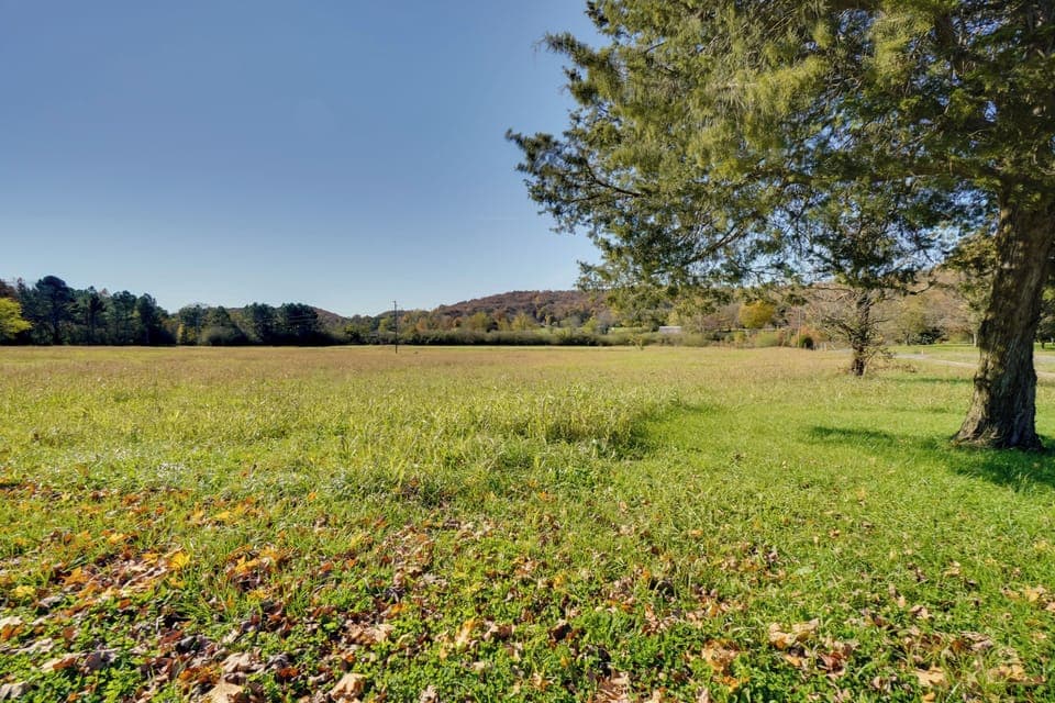 Pastoral Views