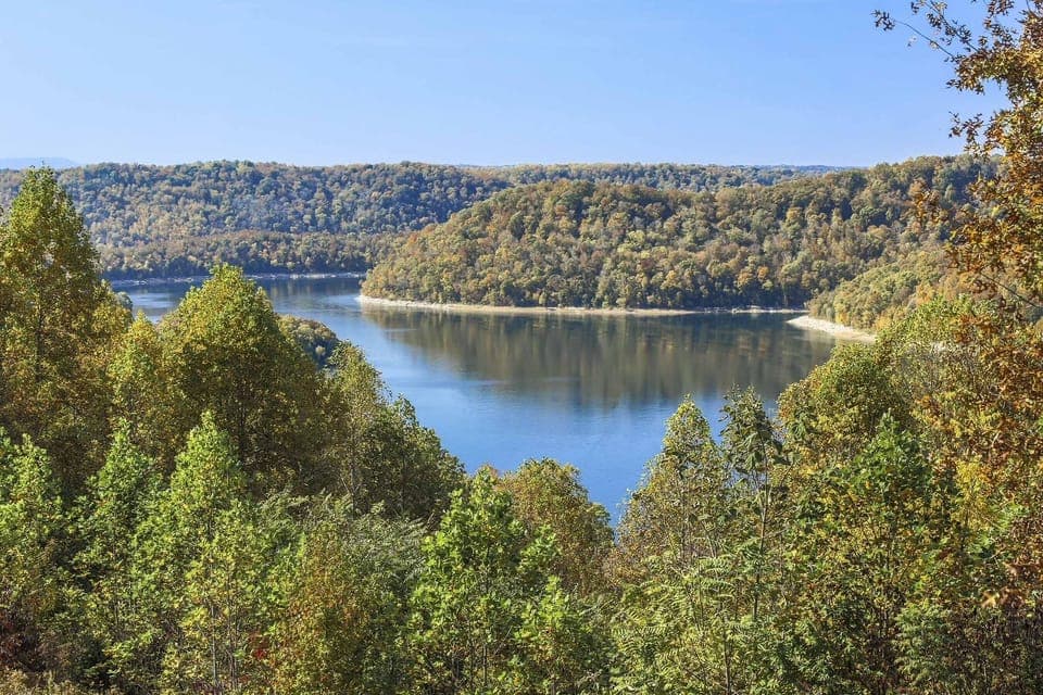 Lake Views