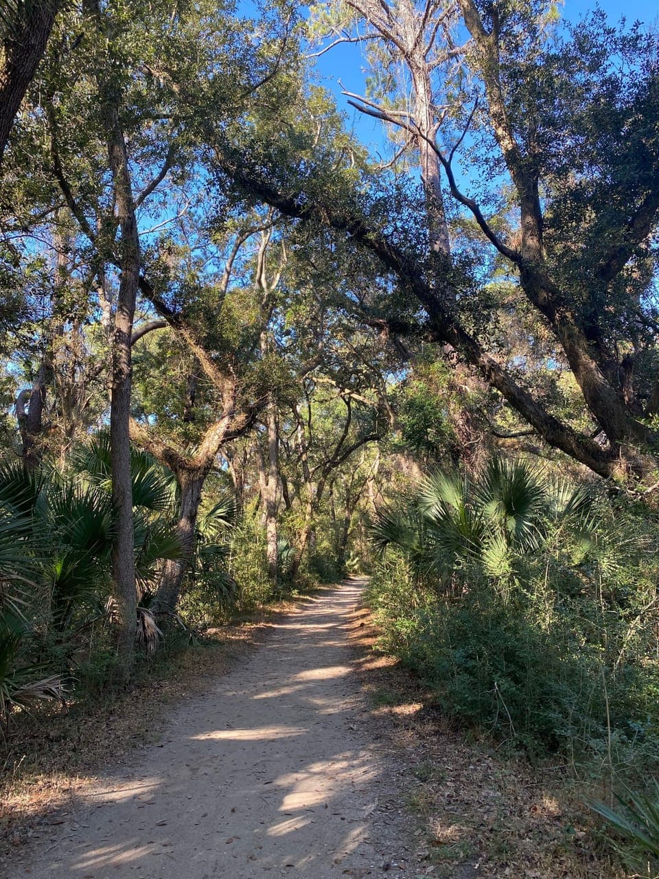 Nearby gorgeous hiking trails part of state park