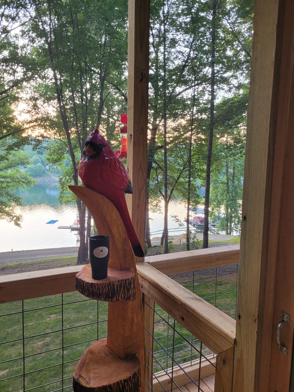 Come stay with us and help us name our mascot!