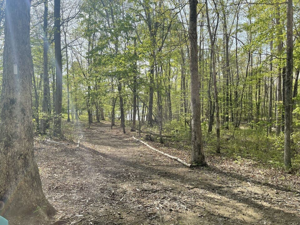 Path to the lake
