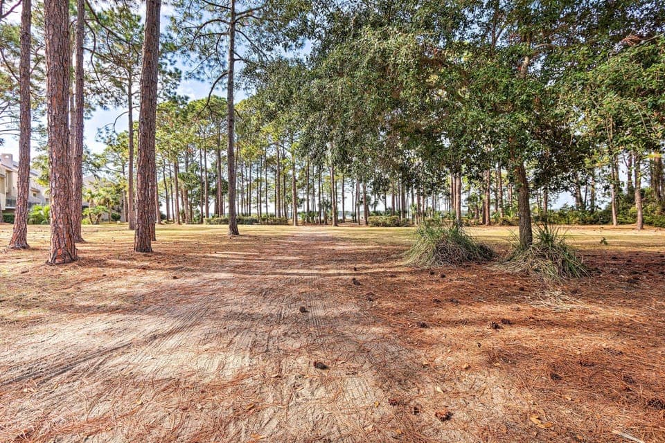 Path to Beach