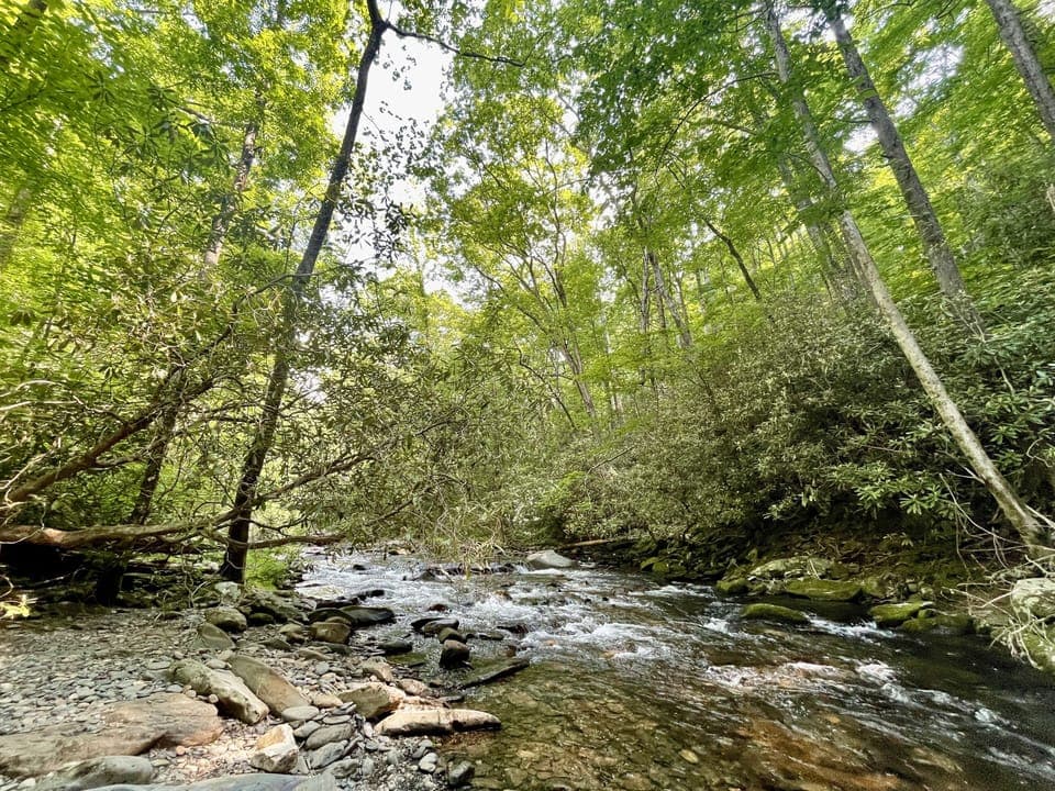 Fires Creek Falls