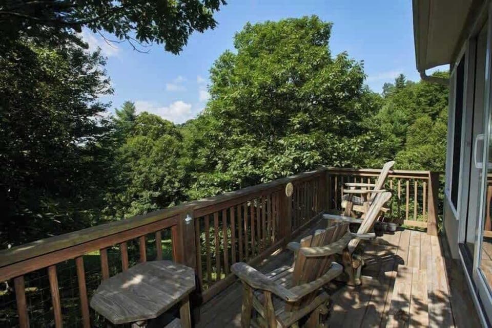 Off the sunroom is a south facing porch offering a winter view of the distant Johns River Gorge