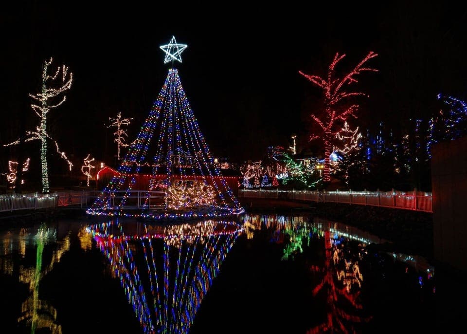 Patti's Festival of Lights! 