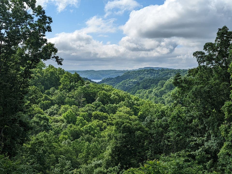 View from back porch