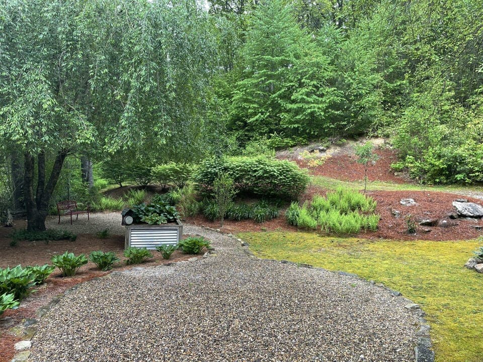 Back garden area