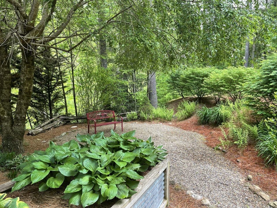 Sitting area in back to relax or read in the shade of an old willow tree