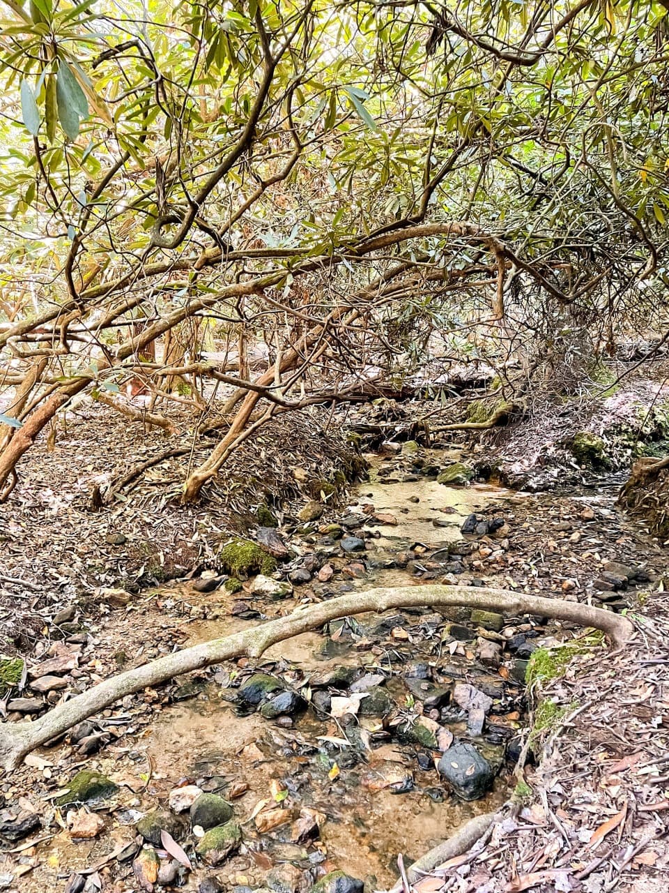 Creek 