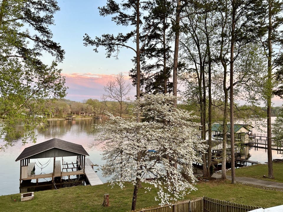 Spring Views