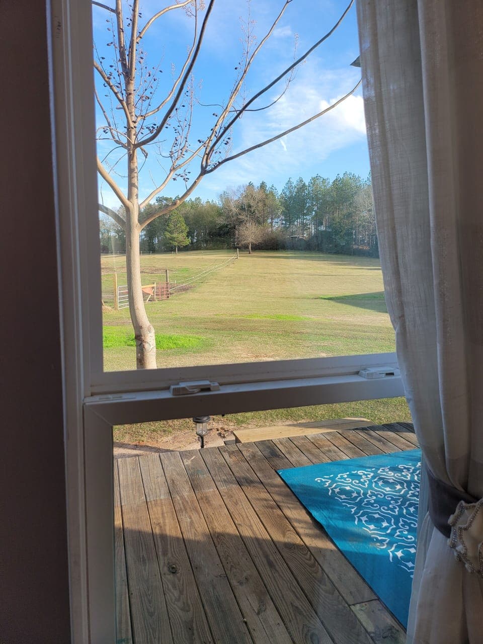 View from property