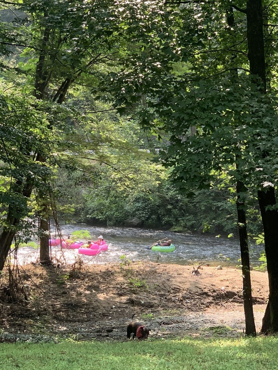 Count the tubers that float by in the summer or join in on the fun!