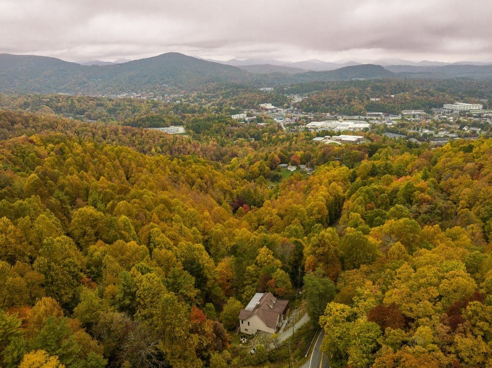 Surrounded by trees but close to all things Boone. 