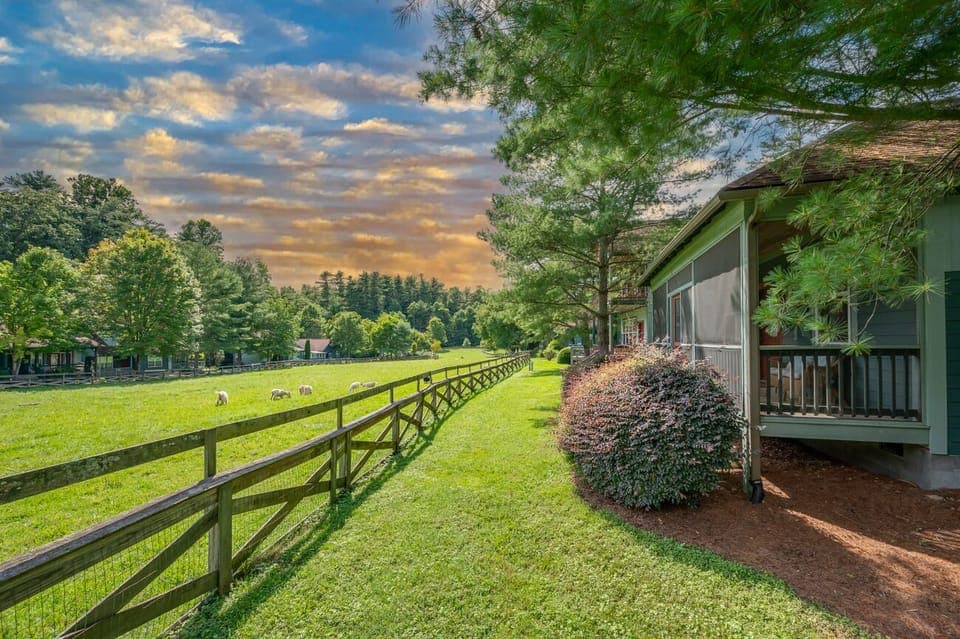 Welcome to Buttercup Cottage!