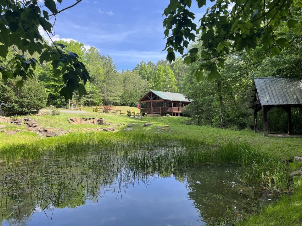 The view from the other side of the pond.