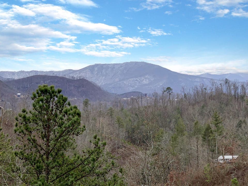 Your majestic winter view from the cabin's porches