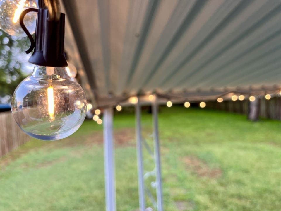 Back yard Lights