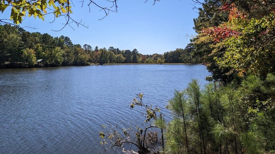 Lake