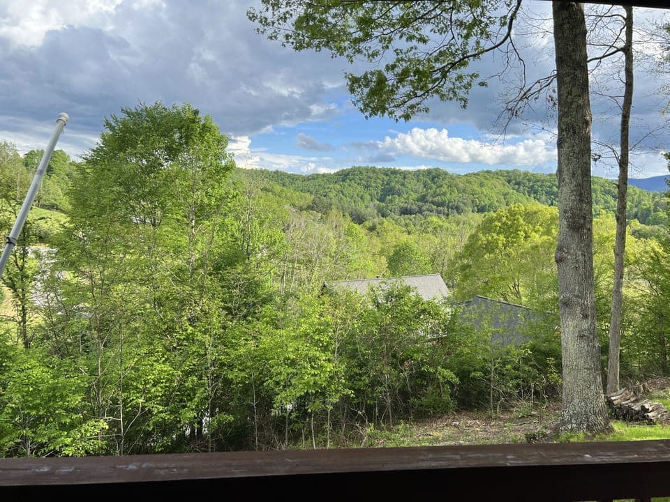 View from property