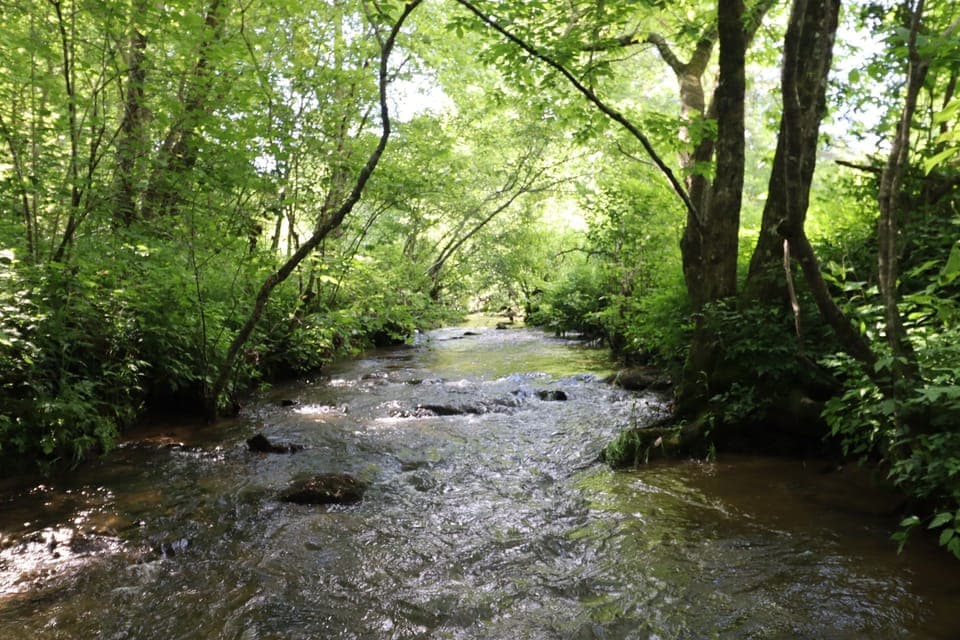 over half a mile of creek to fish or explore