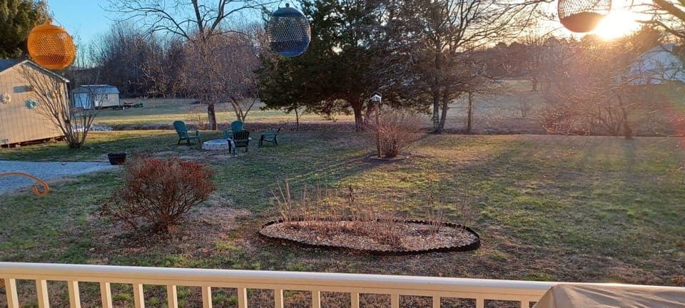 Morning view from the deck.