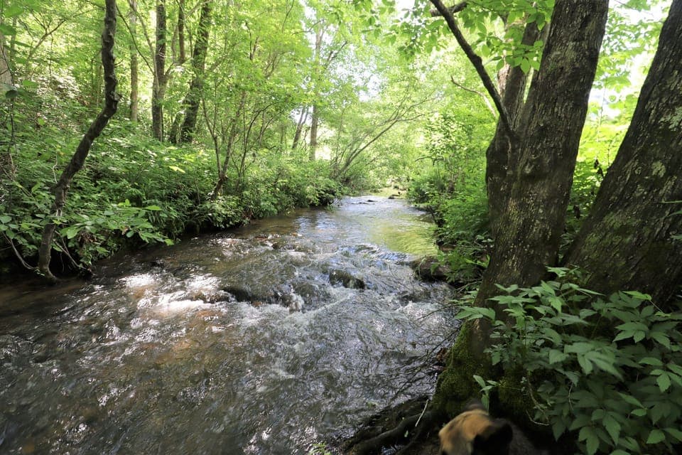creek access