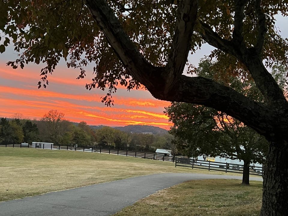 Sunset view 