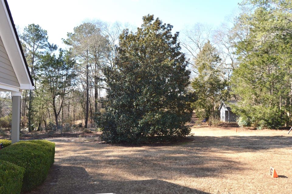 Large backyard