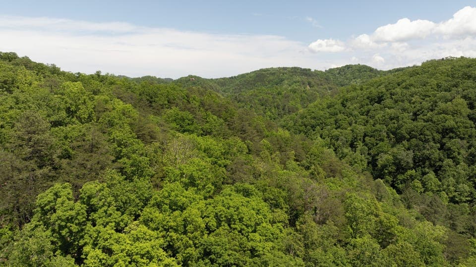 Smoky Mountain Pigeon Forge Cabin Rental Surroundings in Wears Valley