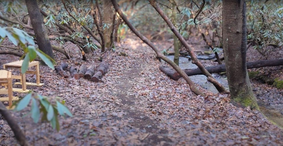 Walk creekside along the groomed trails. Enjoy morning coffee at seating areas.
