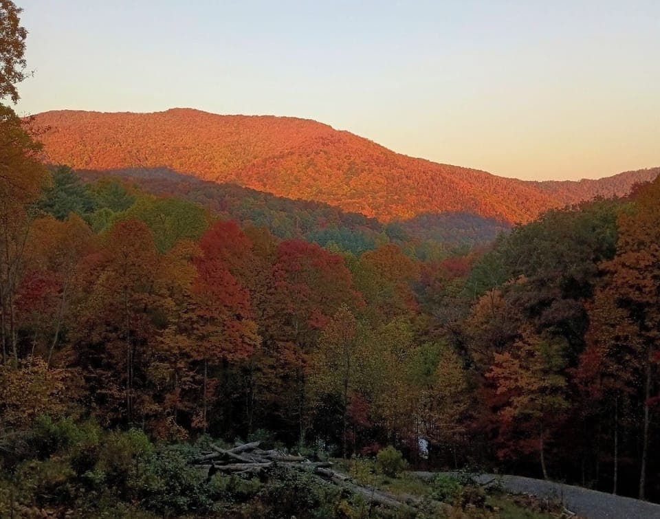 Fall Foliage - October 2024