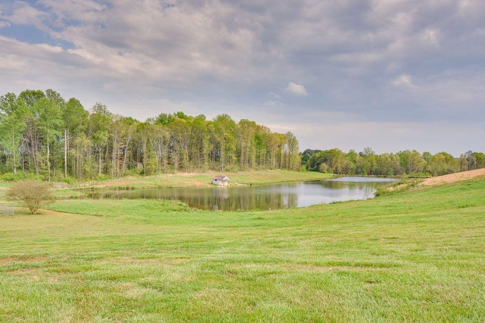 Pond Views