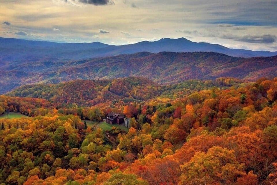 FALL Leaves!