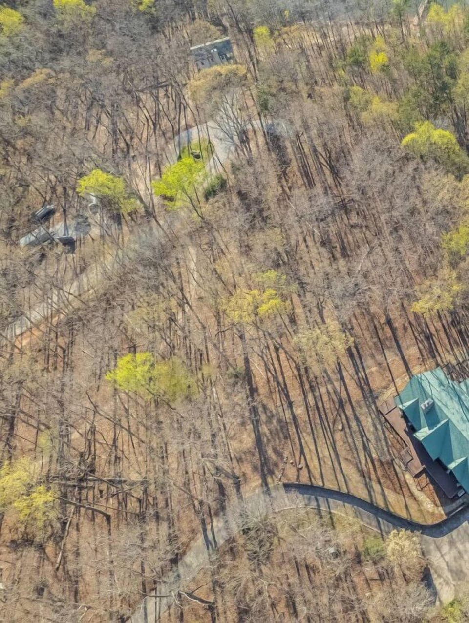 Aerial view