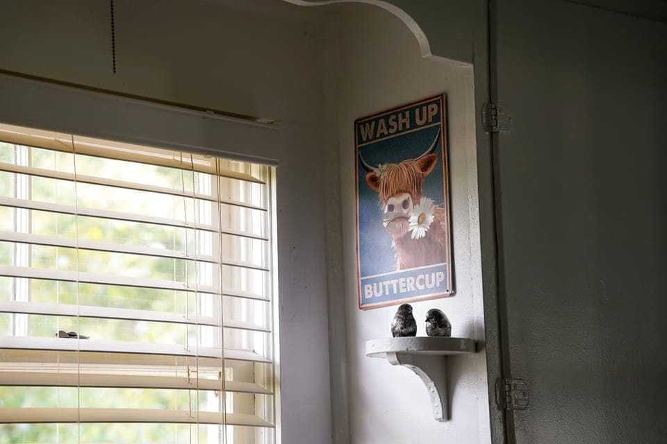 Interior detail