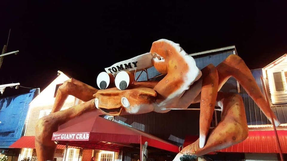 Lots of Restaurants Nearby!