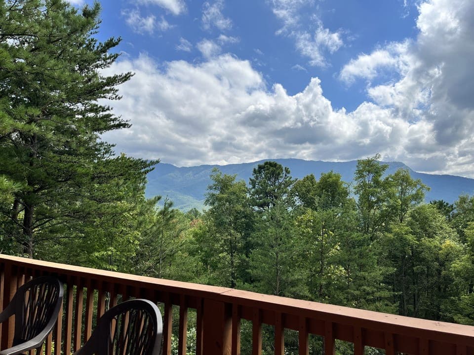 Railing, Tree, Nature, Outdoors, Scenery