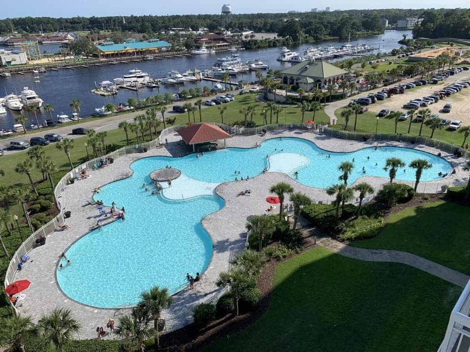 Aerial view of lagoon-style pool with tropical surroundings

