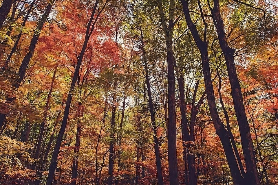 Enterprise South Nature Park