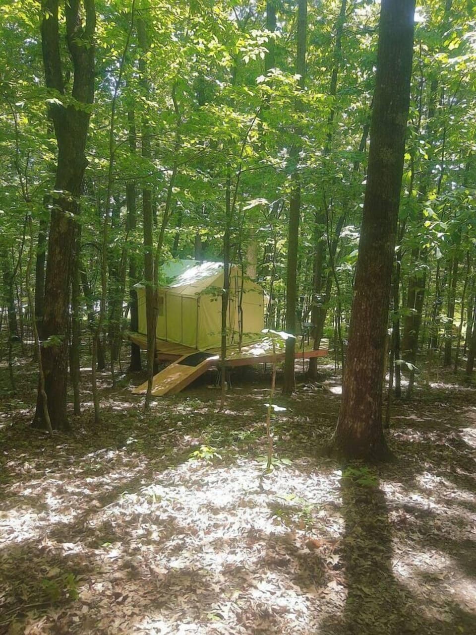 The campsite during the daytime in the forest