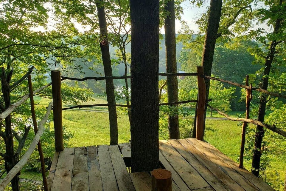 View of our neighbor's pond across the street from the new perspective platform 